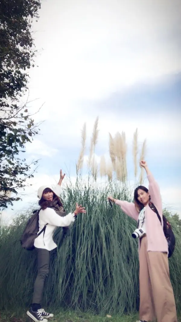 パンパグラスの前