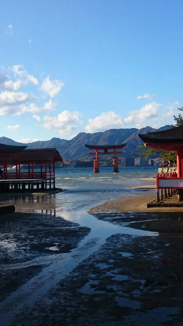 水がひいてきた大鳥居