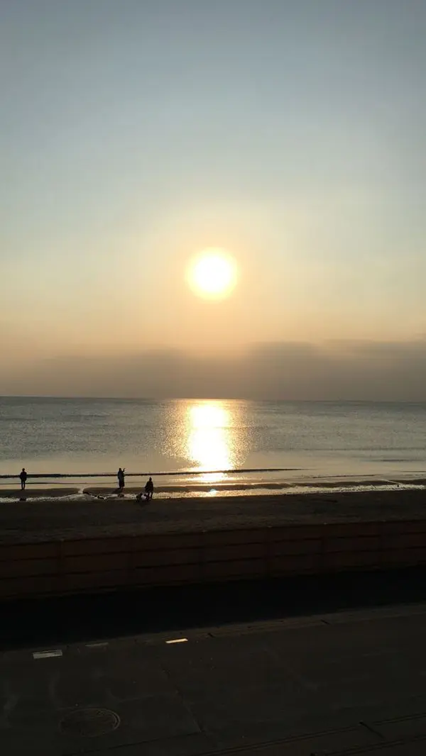 夕日も見れた