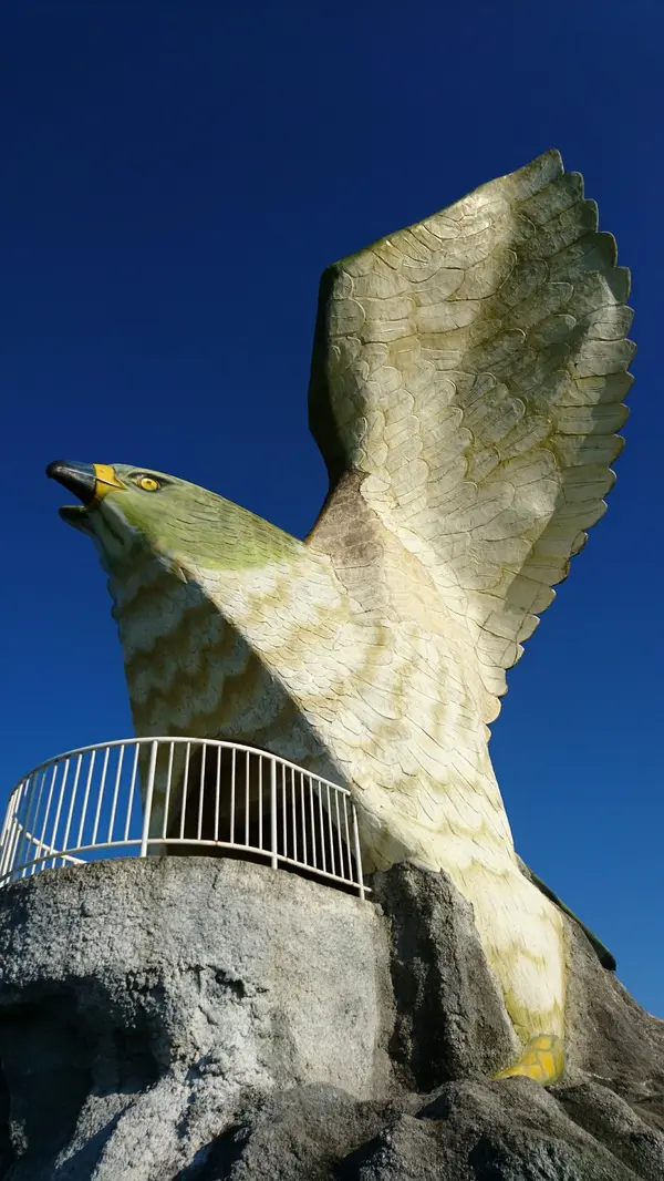 鳥さん