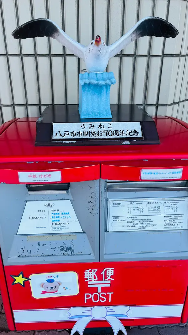 八戸のうみねこ
