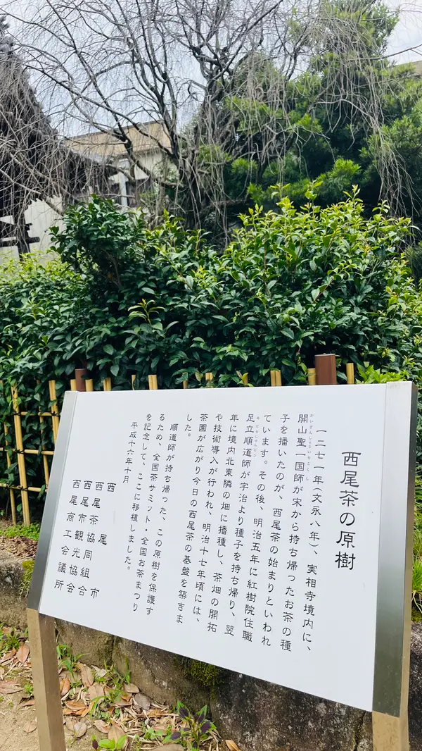 こんなところに！