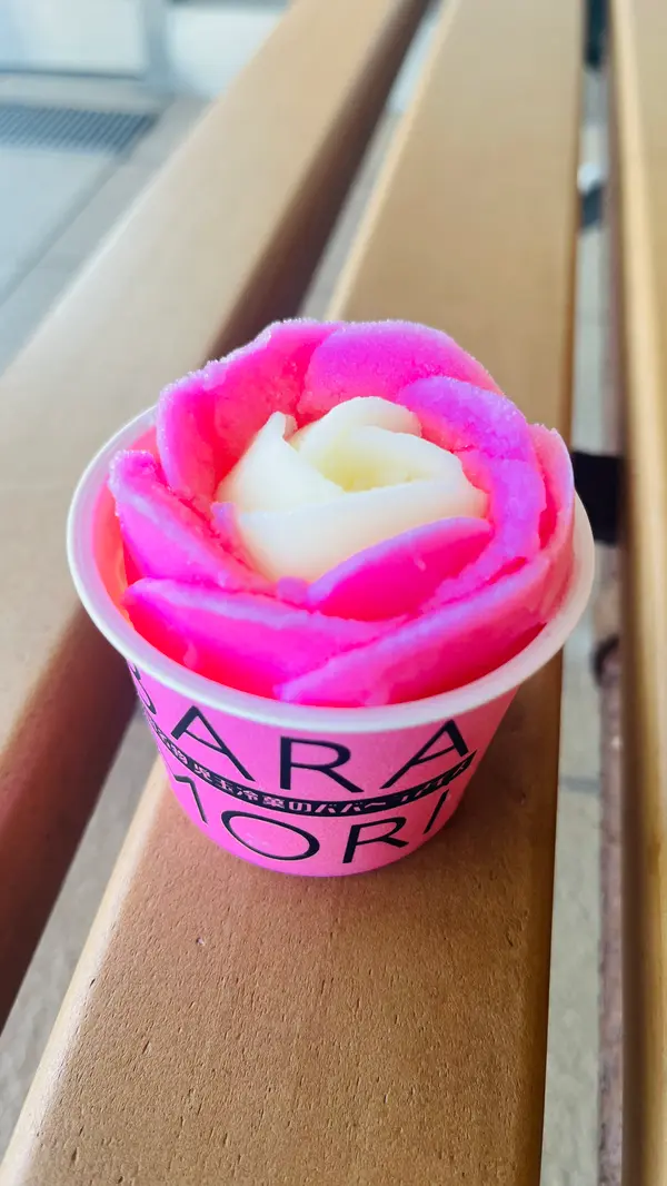 カップのババヘラアイス🍨
