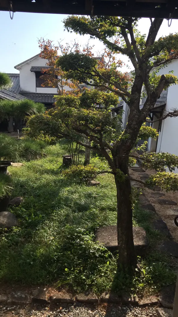 中庭