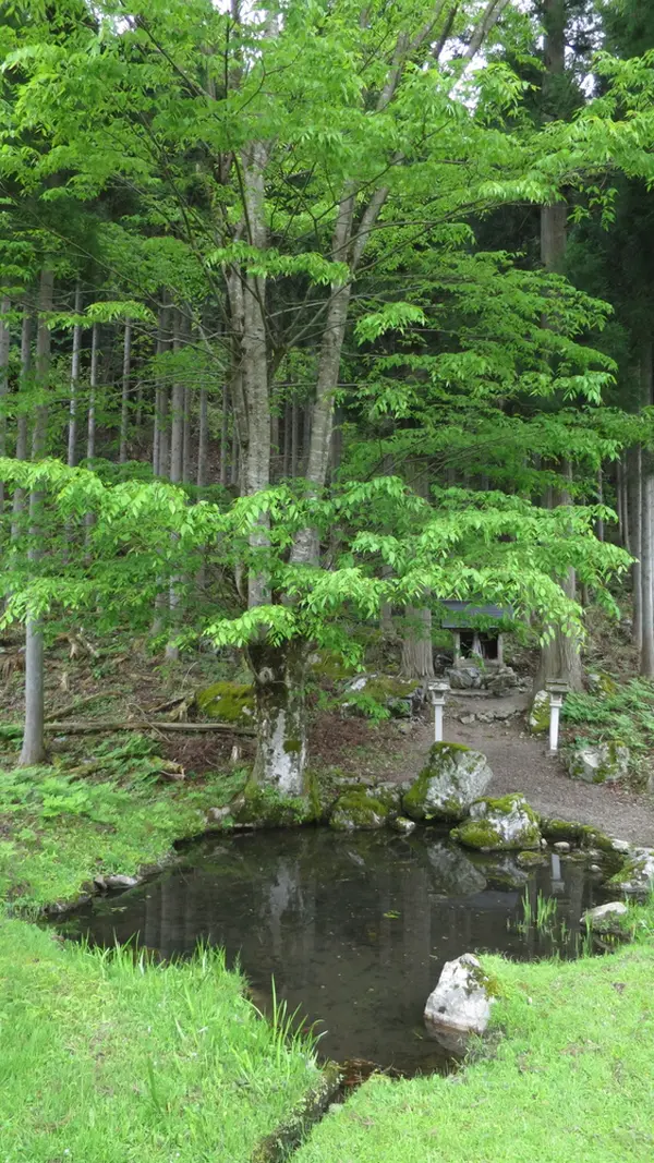 魅惑のパワースポット!稲森神社