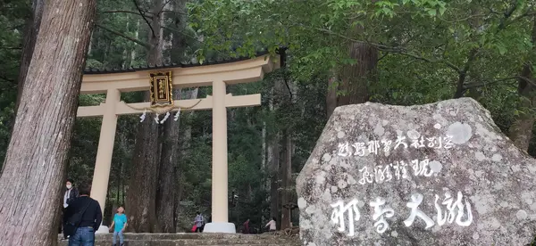 森の中へ