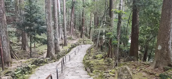 神聖な雰囲気
