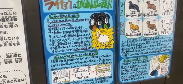 動物の生態についての解説