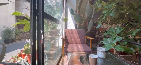 植物たっぷり