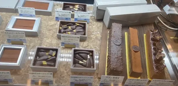 ショーケース