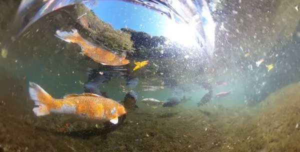 高千穂峡 池 360度写真①