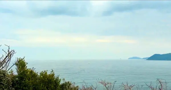展望台からの景色