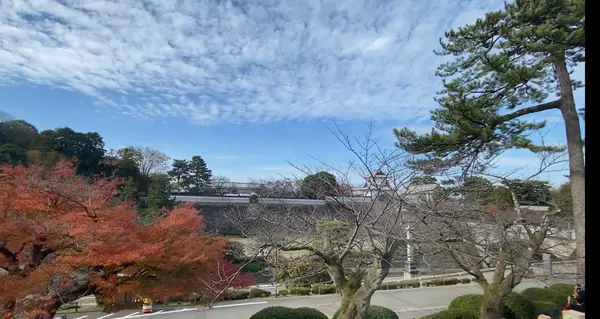 窓際からの絶景