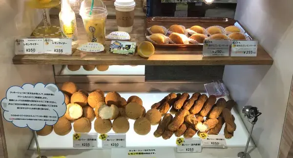 ショーケース