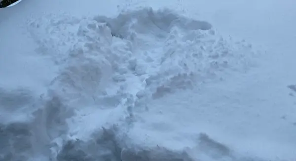 雪のベッドにダイブしてみました😂