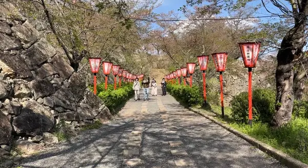 昼間の景色