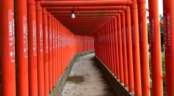 願いを込めてくぐります