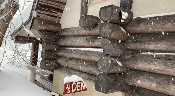 しぇろくま’s DEN