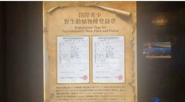 国際希少野生動植物登録票