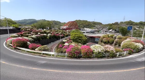音戸大橋とツツジがみえる🙃