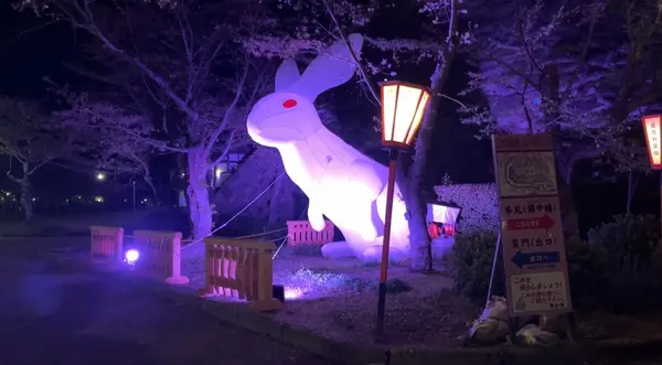 うさぎ