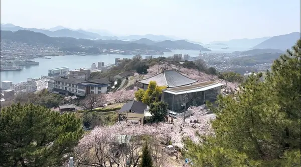 頂上からの景色