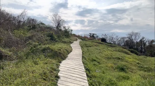 細い一本道
