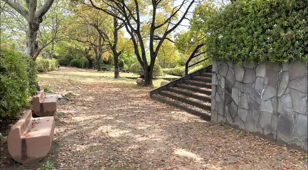 展望台が見どころなので行ってみます🌈