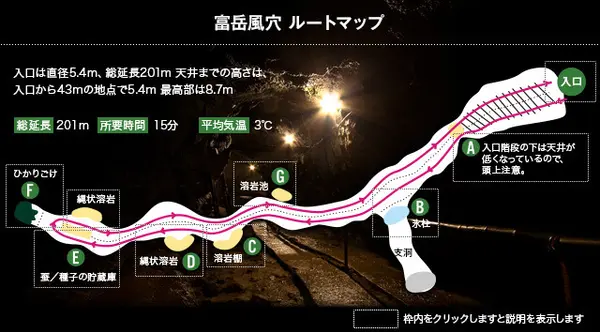 天然記念物の「横」穴型洞窟