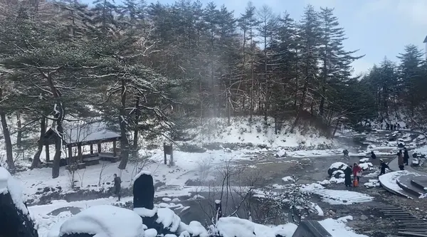 景色