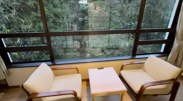 お部屋からの眺め