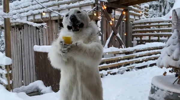 シロクマちゃんが運んできてくれた🐻‍❄️♥️