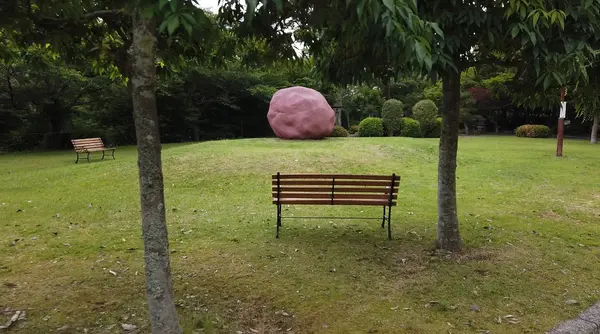 なぜ？？？