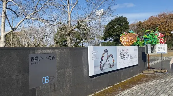 入口