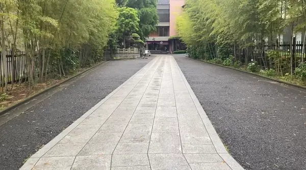 都会の中の自然𓂃🌿𓈒𓏸