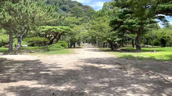 緑がたくさんで癒される〜🍃