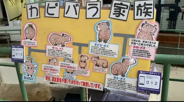 カピバラ家族の相関図