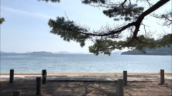 松並木を抜けると海