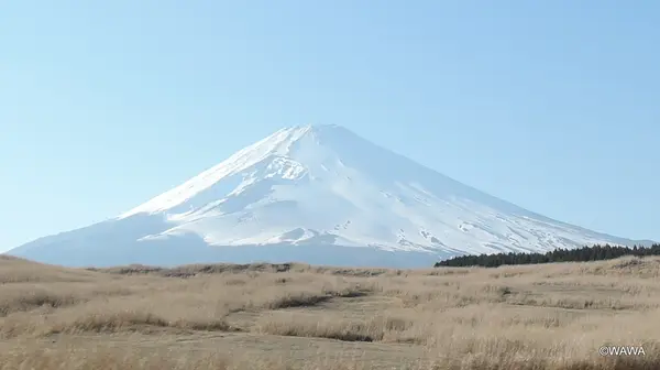 東富士演習場付近から春（３月）の富士山