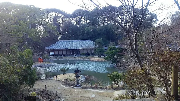 塔から本堂を望む