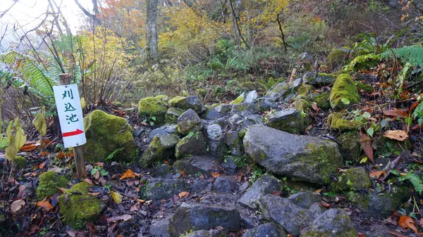 行きは岩場コース