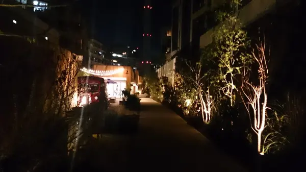 夜に来るのもオススメ
