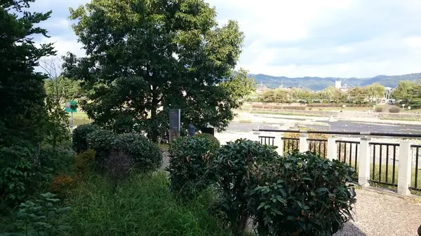 鴨川合流点の遊舗道に面した特等席