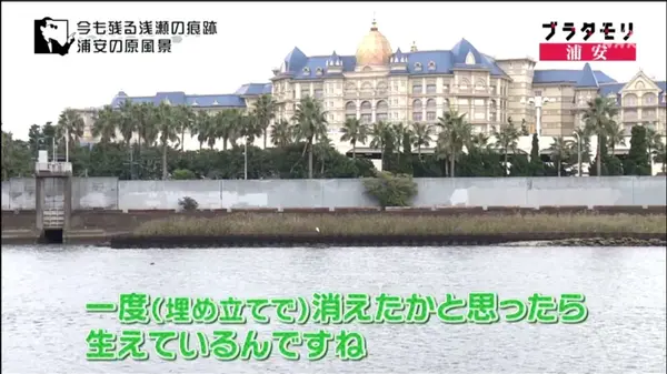 ディズニーランドホテル