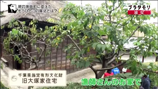 立派な住居