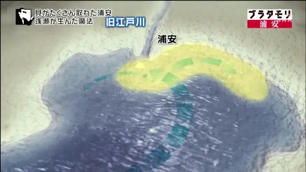 旧江戸川の河口