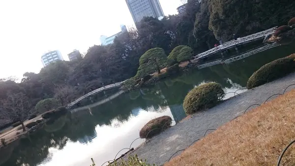 200円でこの景色！