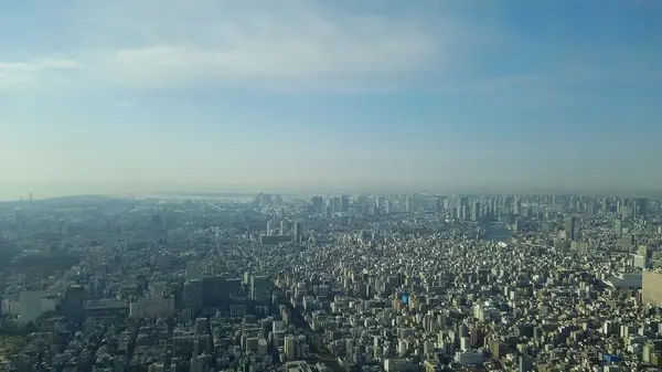 関東平野を一望