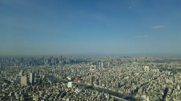 関東平野を一望