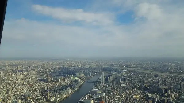 関東平野を一望